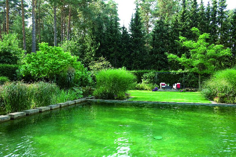 Oase pumpe schwimmteich